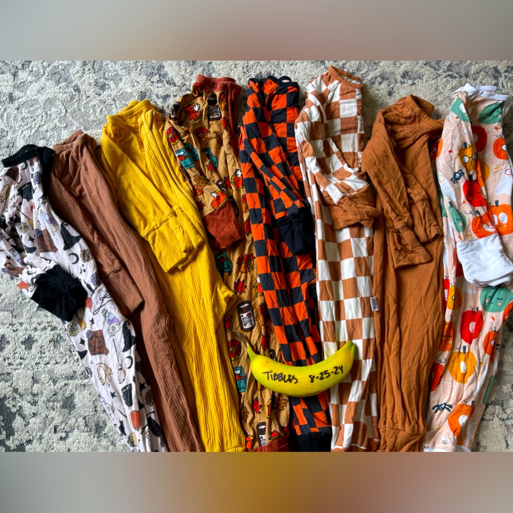 Fall Bamboo Zippy Bundle 6-12m